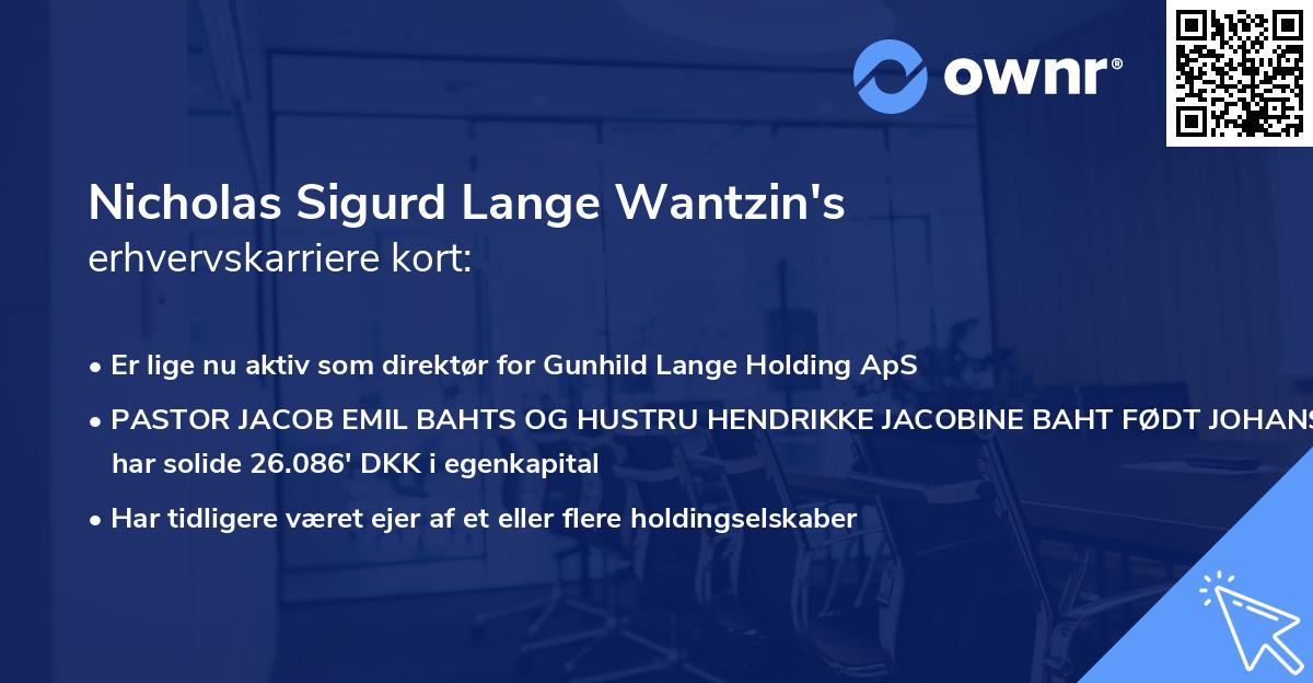 Nicholas Sigurd Lange Wantzin's erhvervskarriere kort