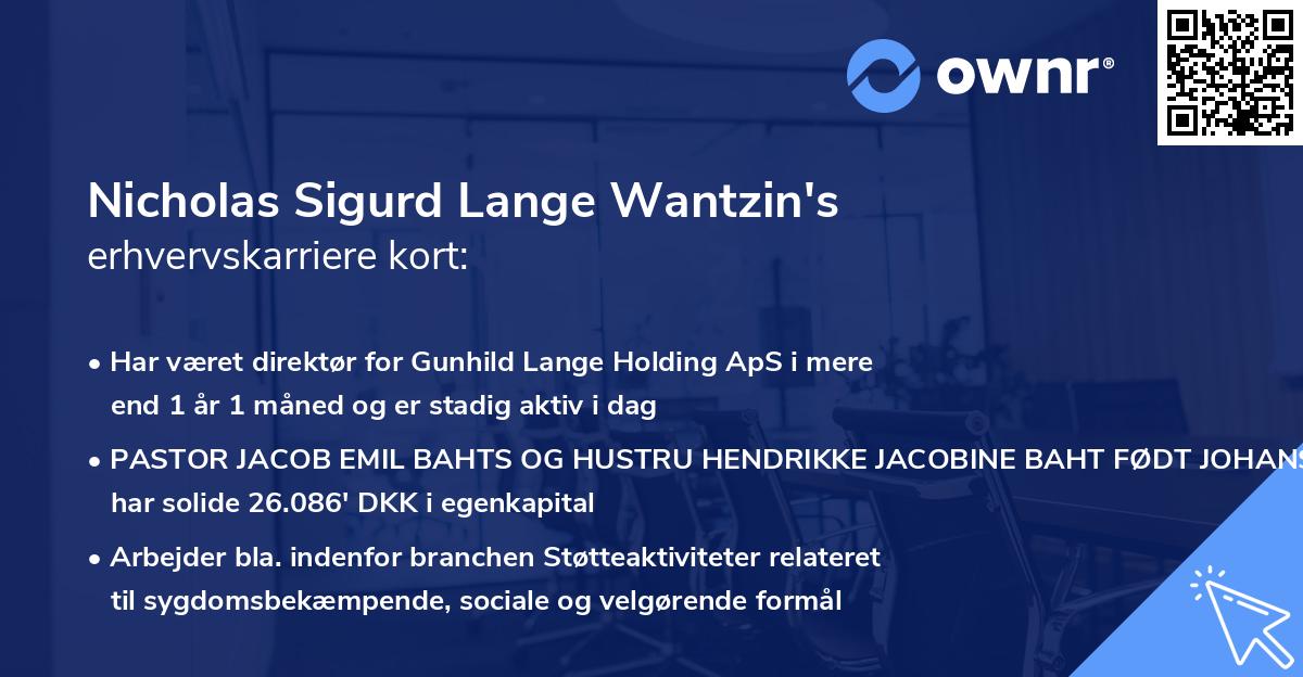Nicholas Sigurd Lange Wantzin's erhvervskarriere kort