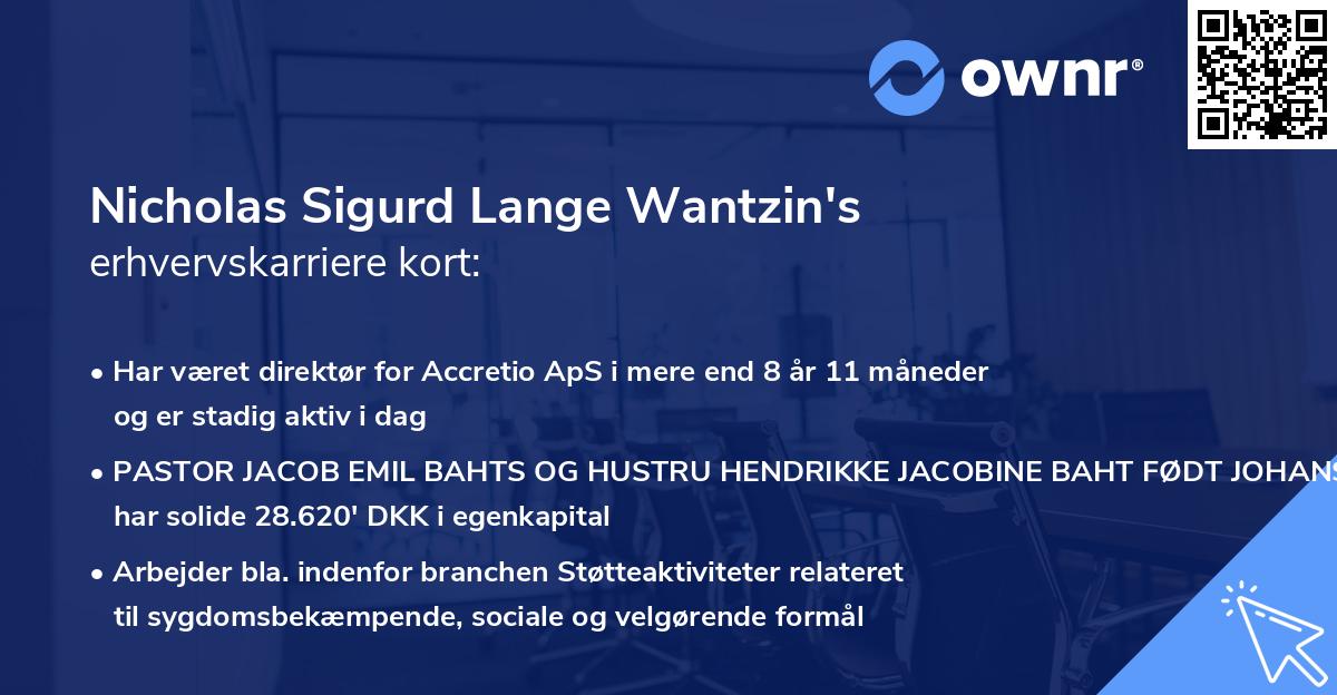 Nicholas Sigurd Lange Wantzin's erhvervskarriere kort