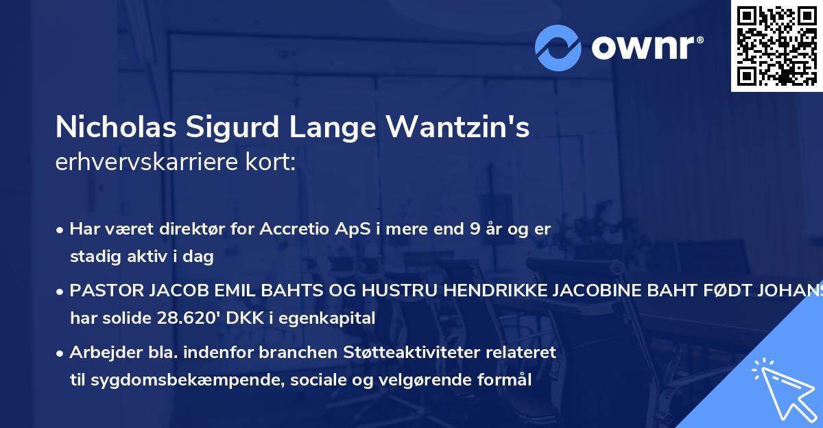 Nicholas Sigurd Lange Wantzin's erhvervskarriere kort