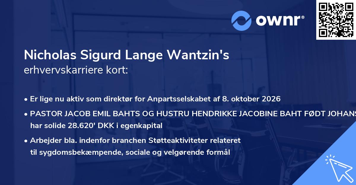 Nicholas Sigurd Lange Wantzin's erhvervskarriere kort
