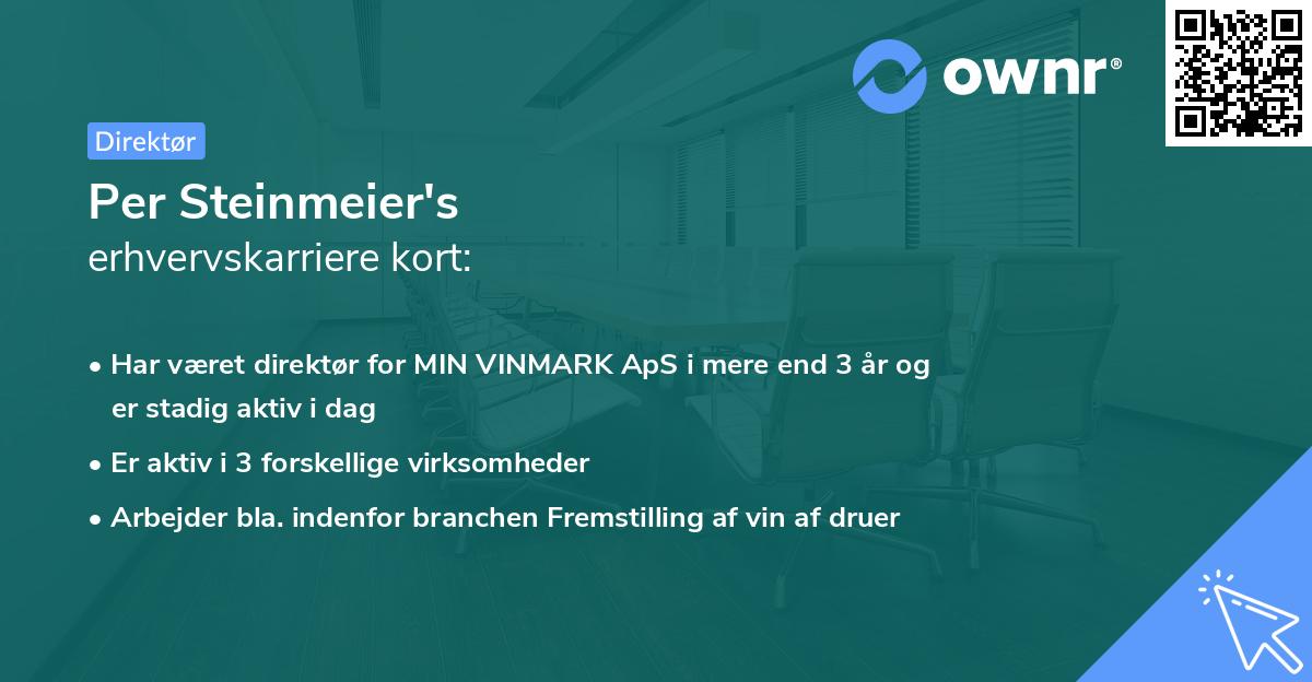 Per Steinmeier's erhvervskarriere kort