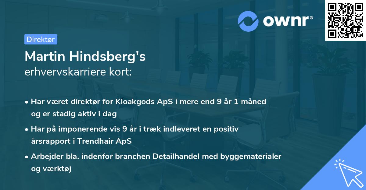 Martin Hindsberg's erhvervskarriere kort
