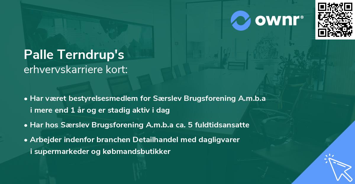 Palle Terndrup's erhvervskarriere kort