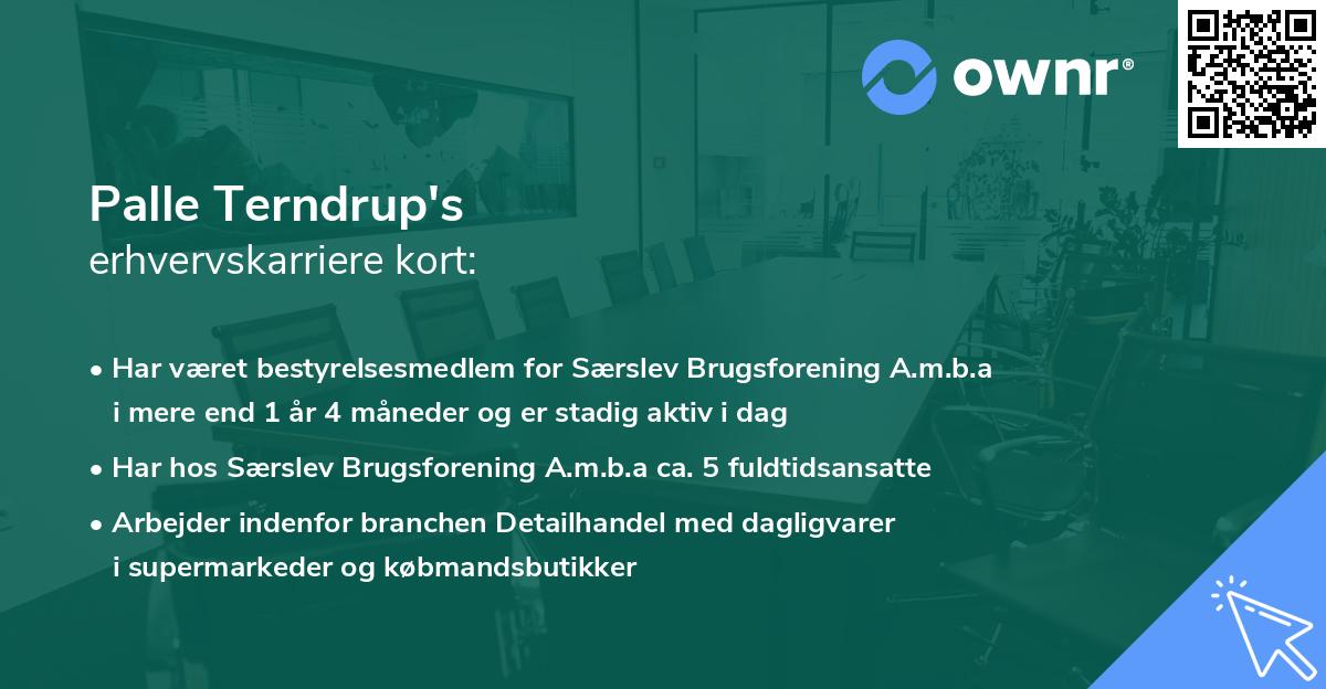 Palle Terndrup's erhvervskarriere kort