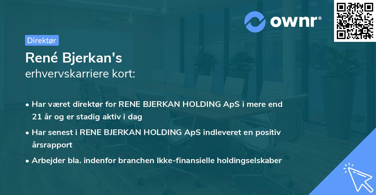 René Bjerkan's erhvervskarriere kort