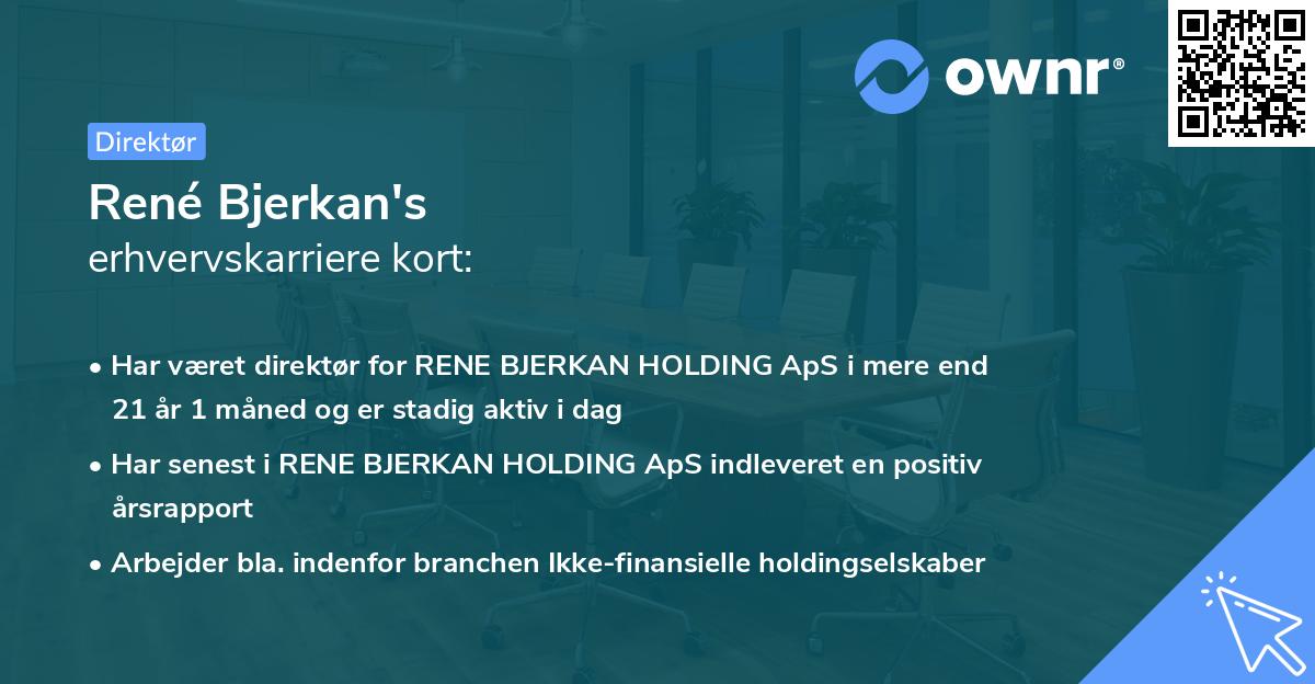 René Bjerkan's erhvervskarriere kort