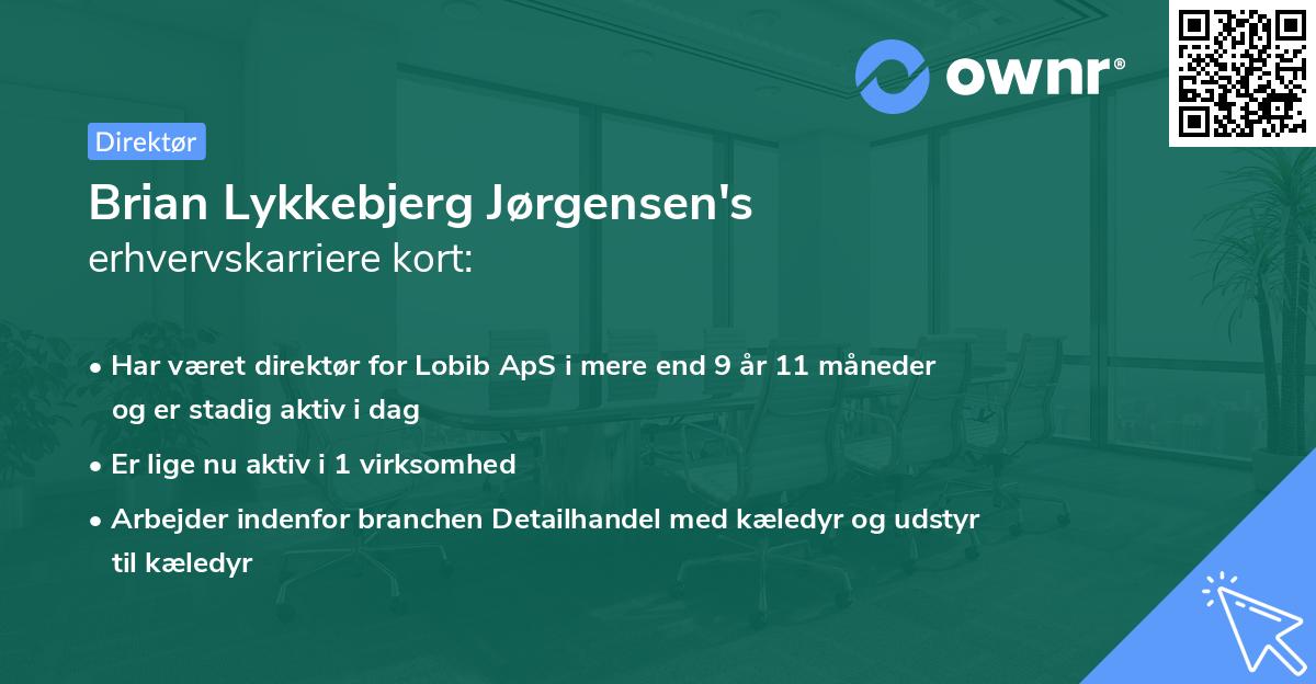 Brian Lykkebjerg Jørgensen's erhvervskarriere kort
