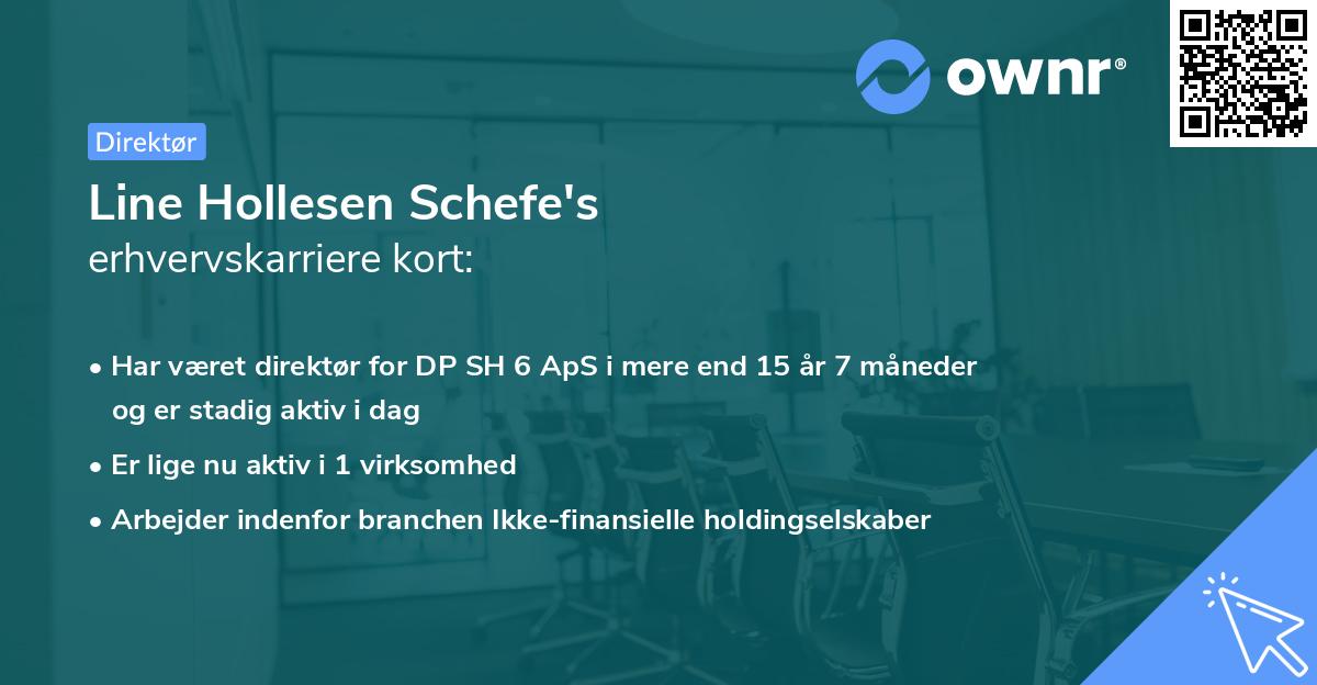 Line Hollesen Schefe's erhvervskarriere kort