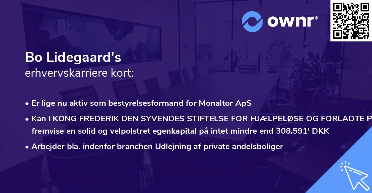 Bo Lidegaard's erhvervskarriere kort