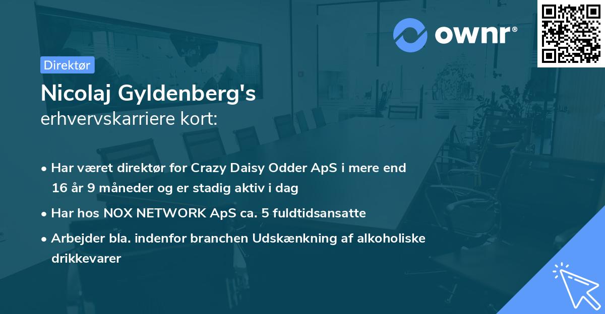 Nicolaj Gyldenberg's erhvervskarriere kort