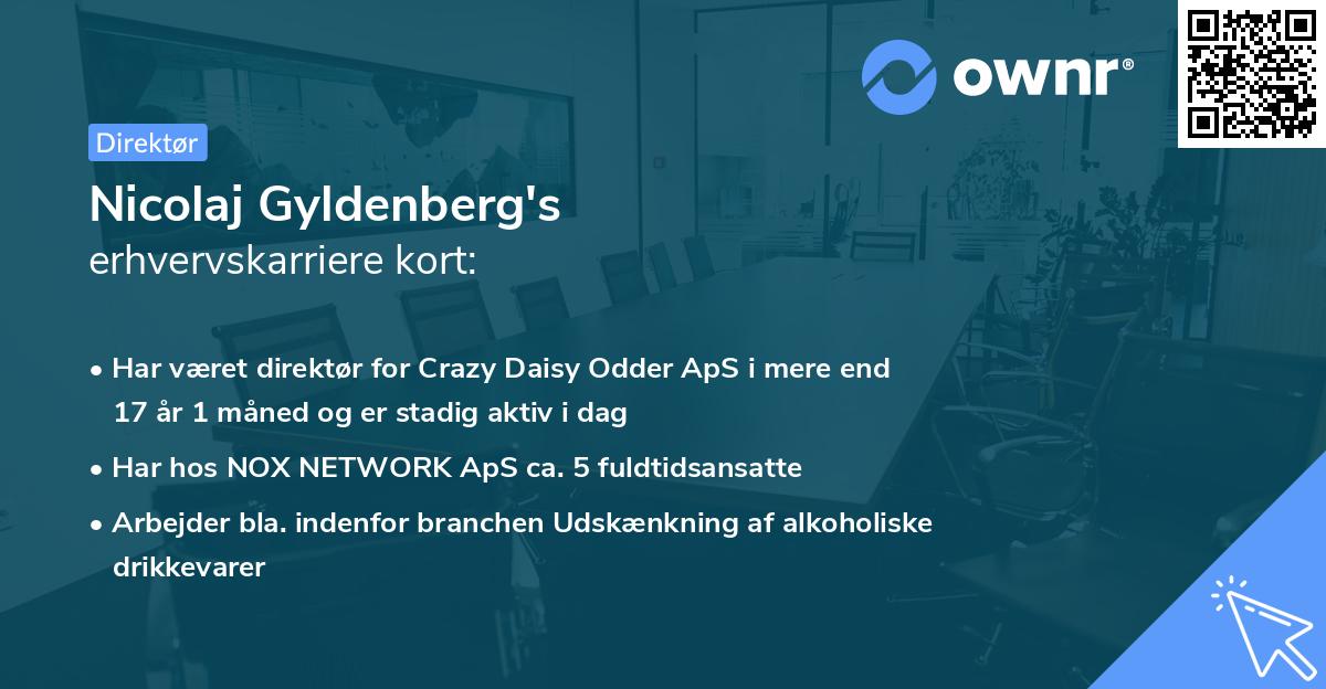 Nicolaj Gyldenberg's erhvervskarriere kort
