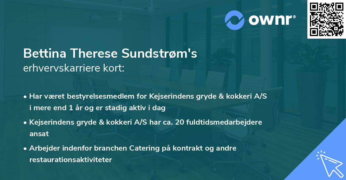 Bettina Therese Sundstrøm's erhvervskarriere kort