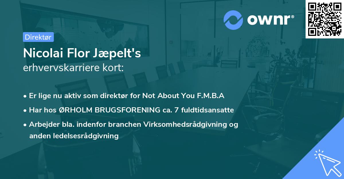 Nicolai Flor Jæpelt's erhvervskarriere kort