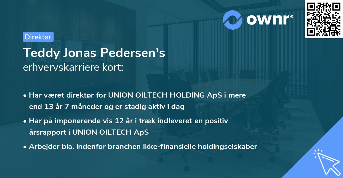Teddy Jonas Pedersen's erhvervskarriere kort
