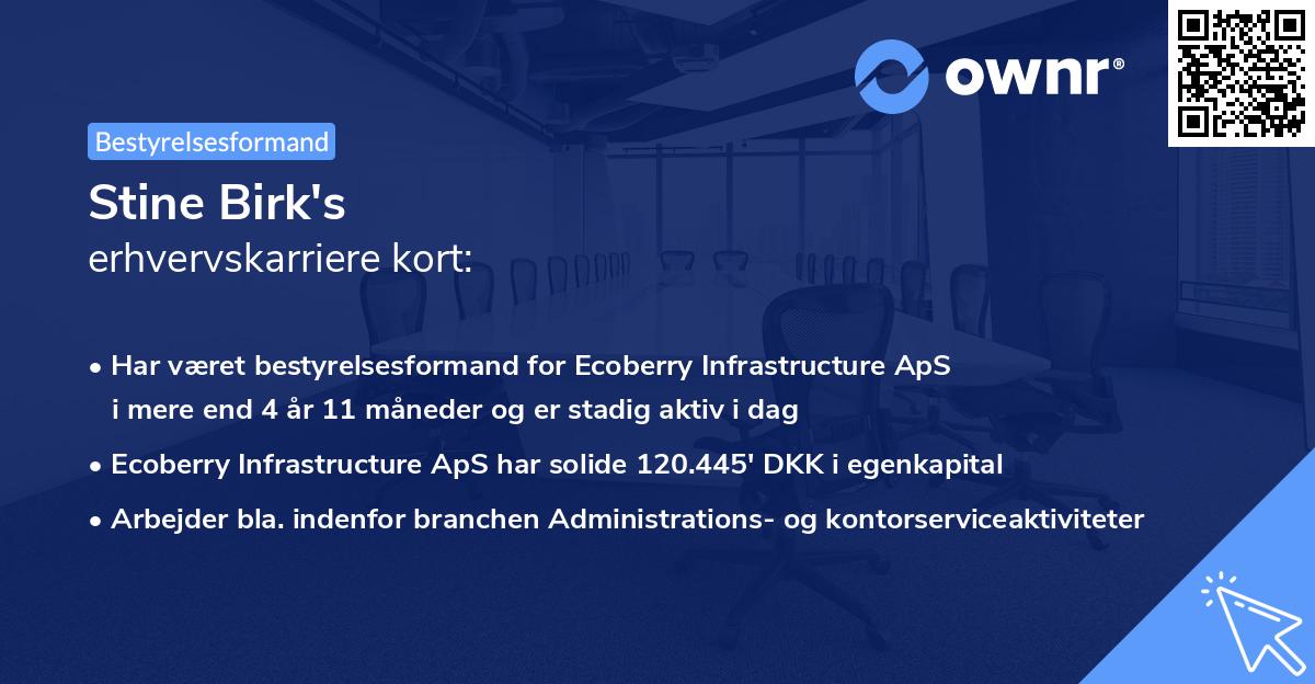Stine Birk's erhvervskarriere kort