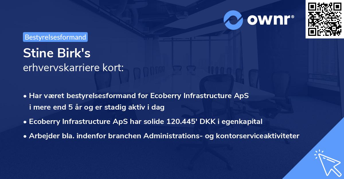 Stine Birk's erhvervskarriere kort