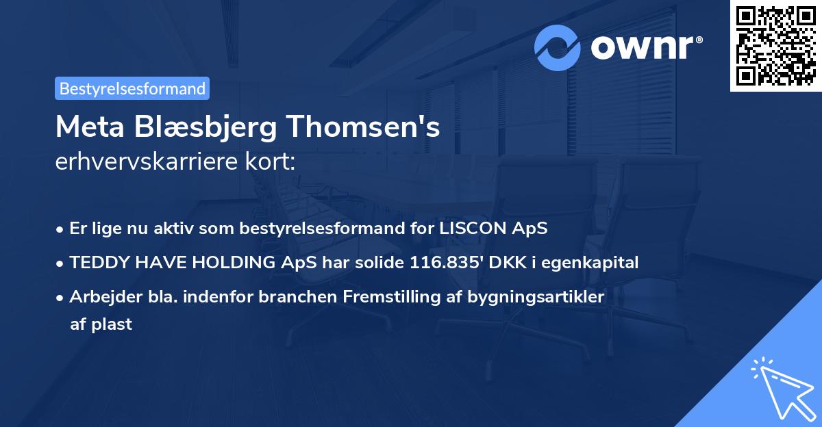 Meta Blæsbjerg Thomsen's erhvervskarriere kort