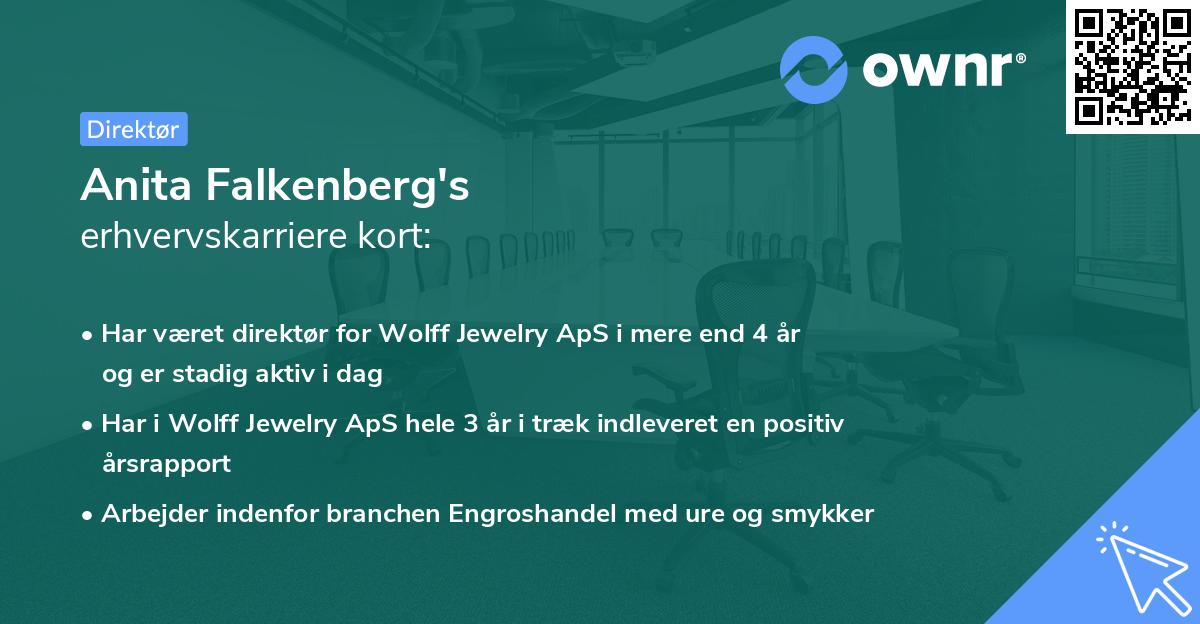 Anita Falkenberg's erhvervskarriere kort