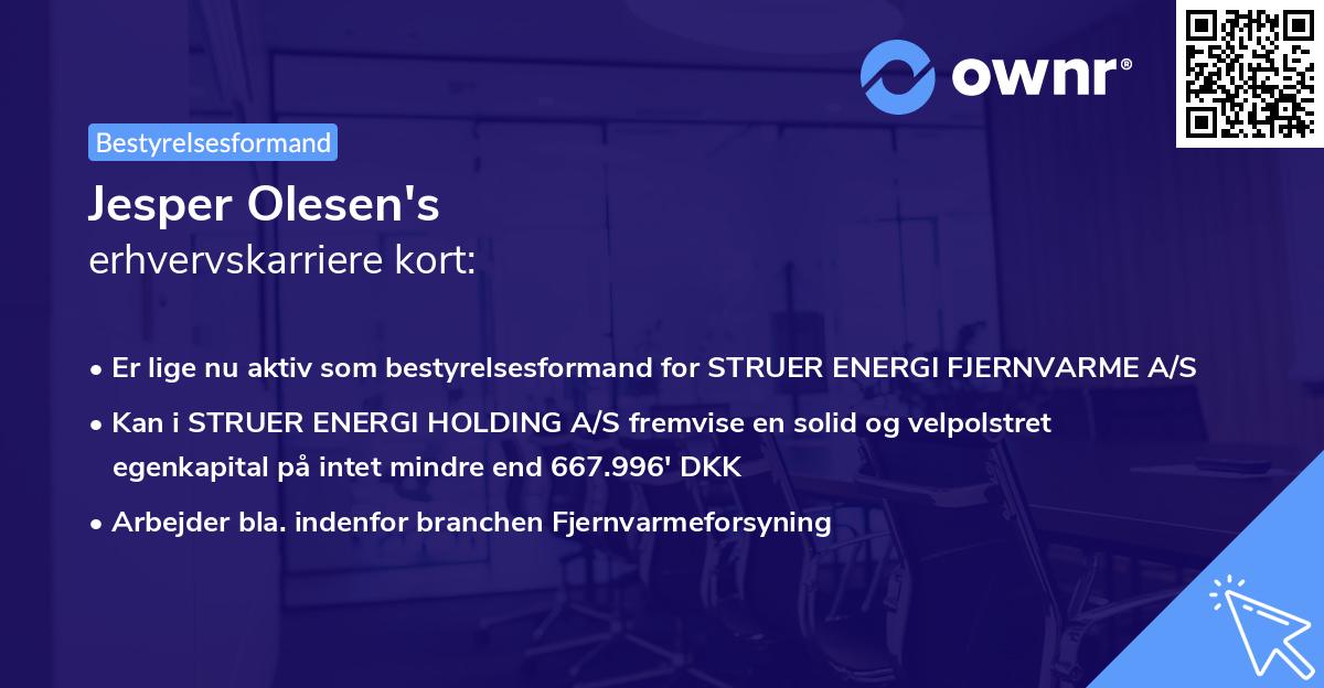 Jesper Olesen's erhvervskarriere kort