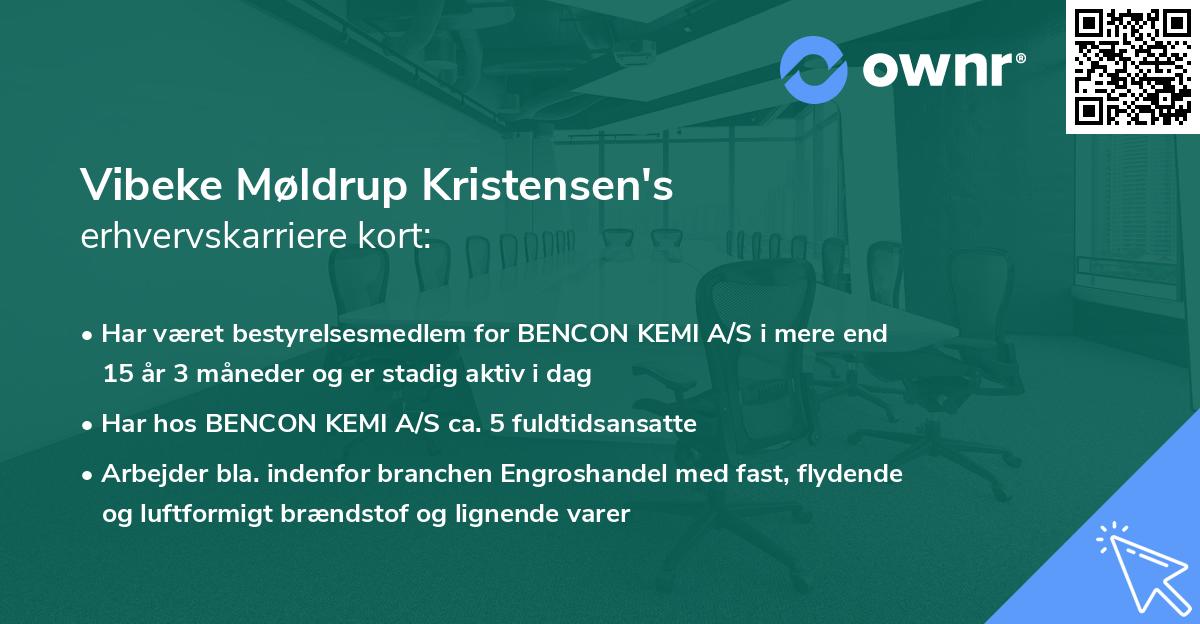 Vibeke Møldrup Kristensen's erhvervskarriere kort