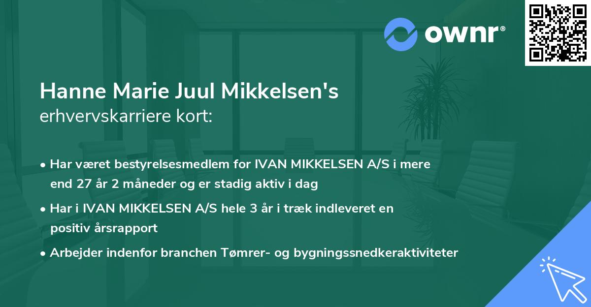 Hanne Marie Juul Mikkelsen's erhvervskarriere kort