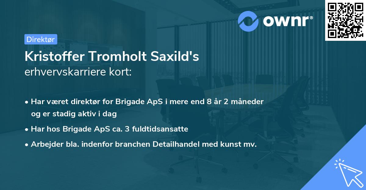 Kristoffer Tromholt Saxild's erhvervskarriere kort