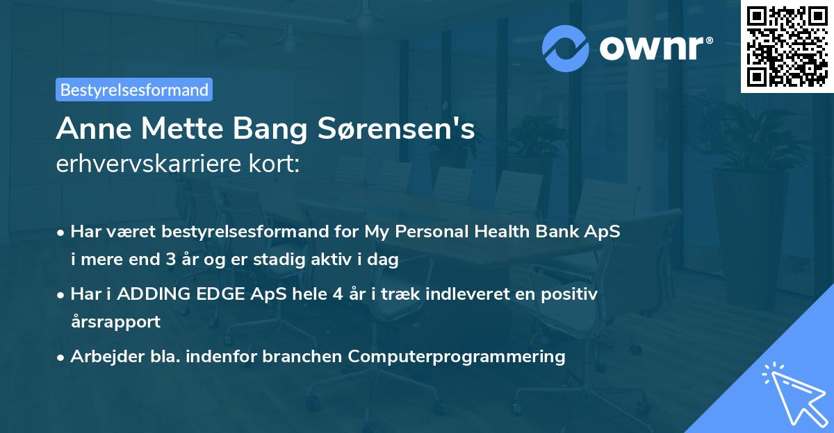 Anne Mette Bang Sørensen's erhvervskarriere kort
