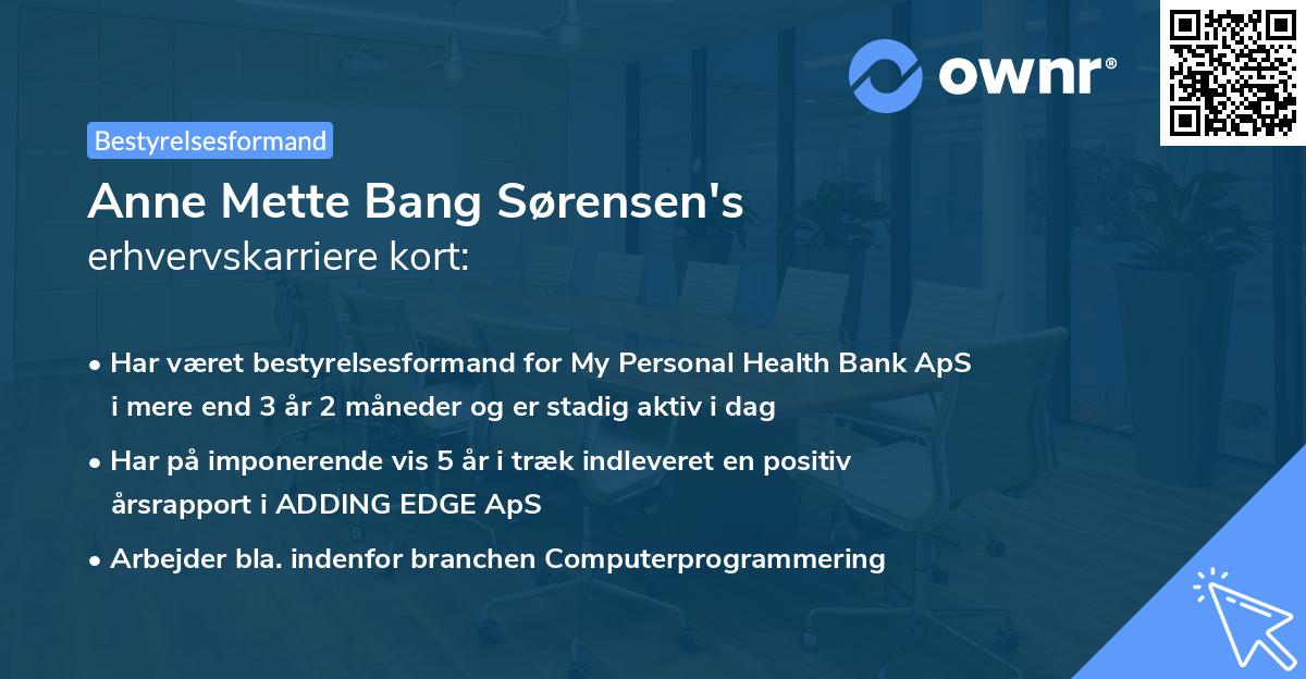 Anne Mette Bang Sørensen's erhvervskarriere kort