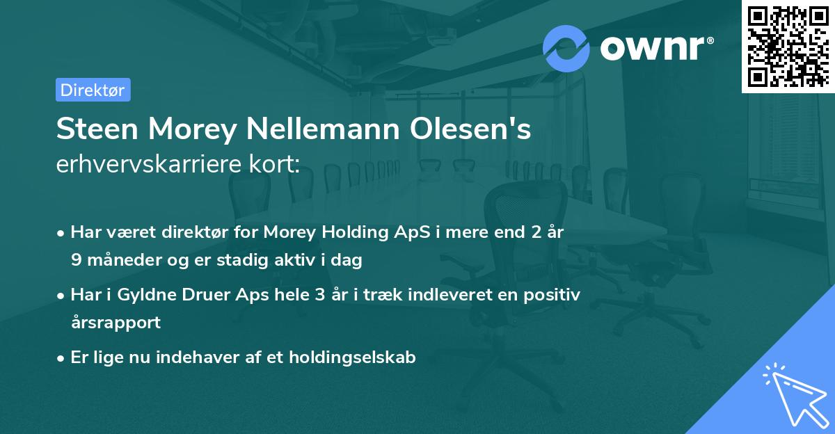 Steen Morey Nellemann Olesen's erhvervskarriere kort
