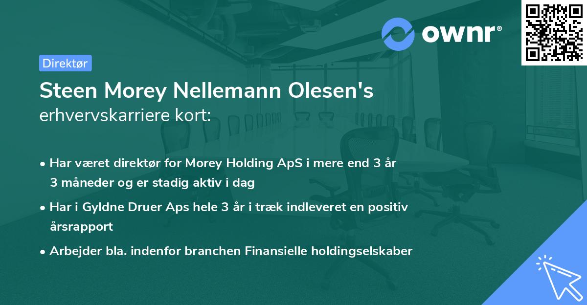 Steen Morey Nellemann Olesen's erhvervskarriere kort