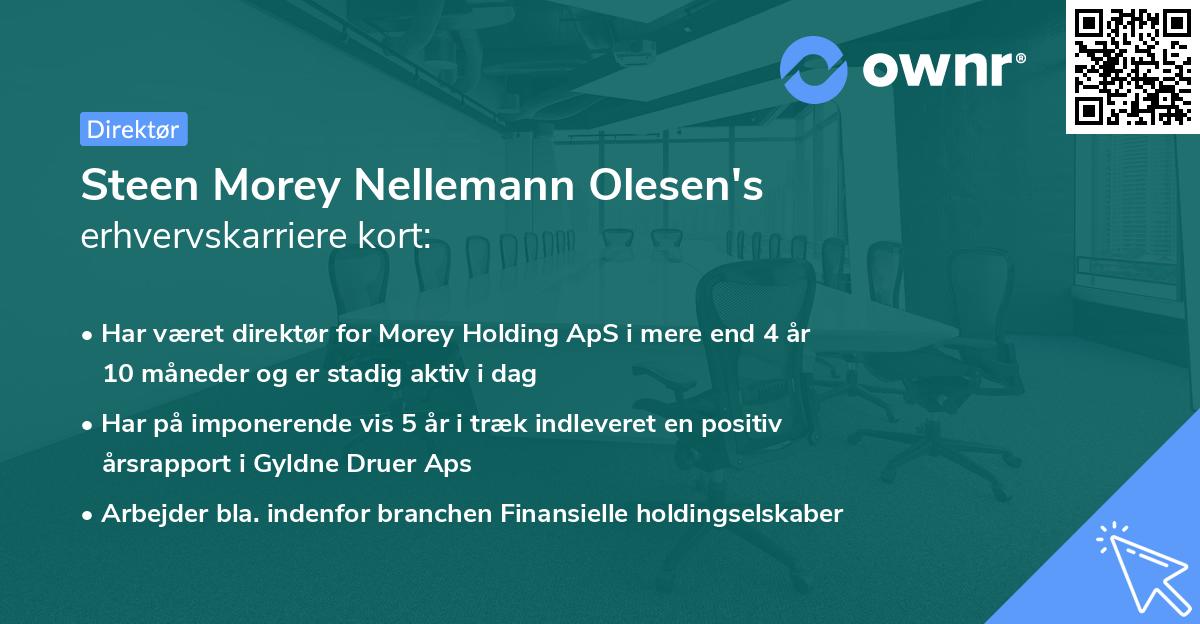 Steen Morey Nellemann Olesen's erhvervskarriere kort