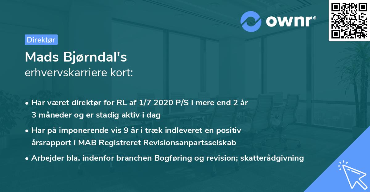 Mads Bjørndal's erhvervskarriere kort
