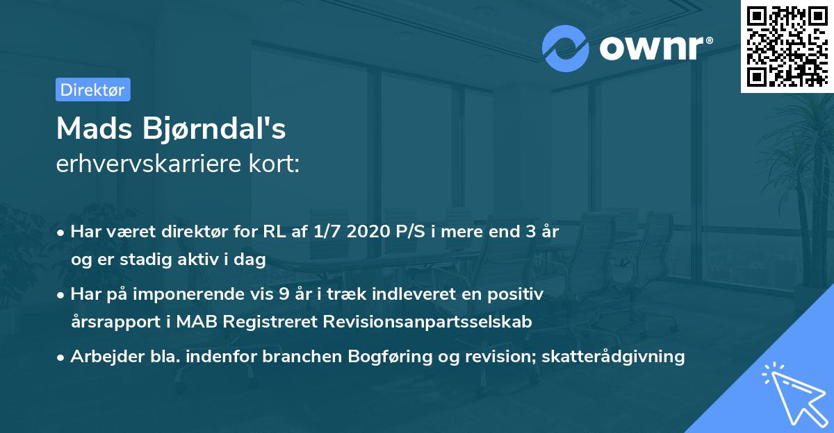 Mads Bjørndal's erhvervskarriere kort