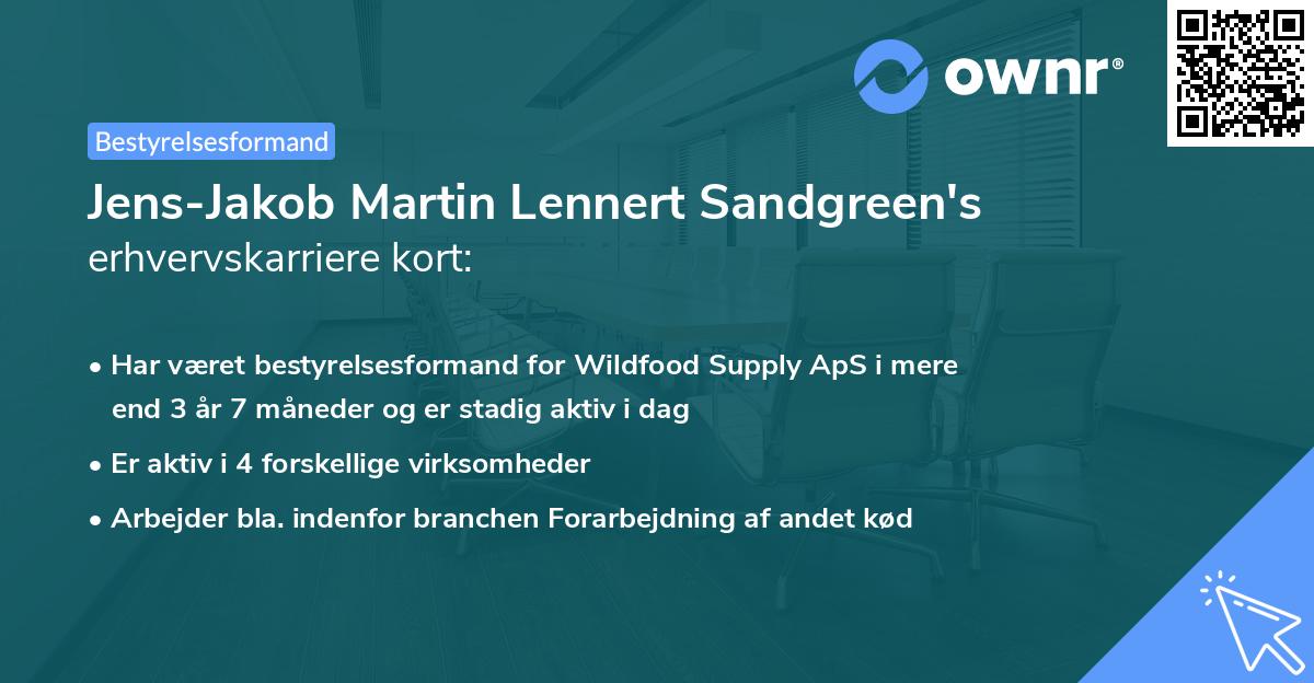 Jens-Jakob Martin Lennert Sandgreen's erhvervskarriere kort
