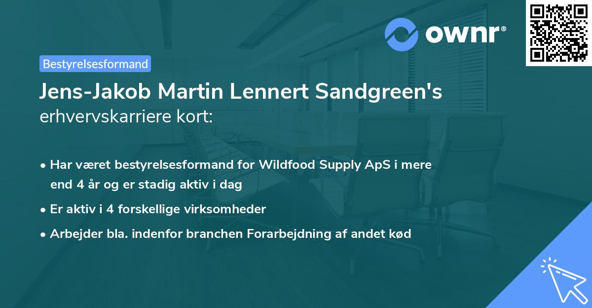 Jens-Jakob Martin Lennert Sandgreen's erhvervskarriere kort