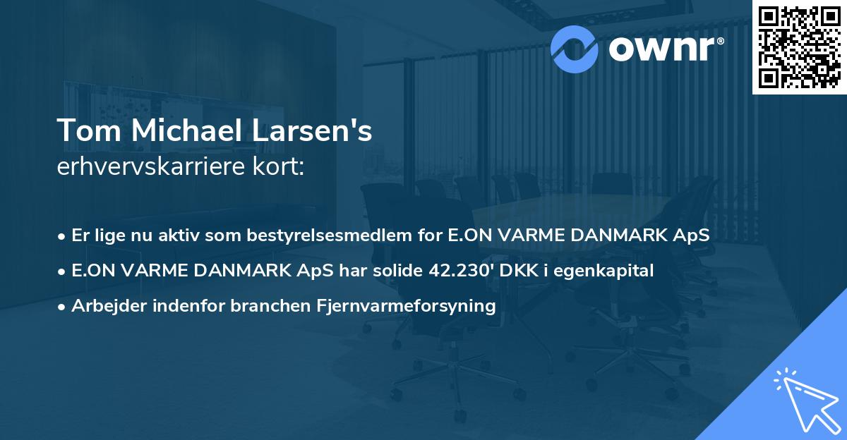 Tom Michael Larsen's erhvervskarriere kort