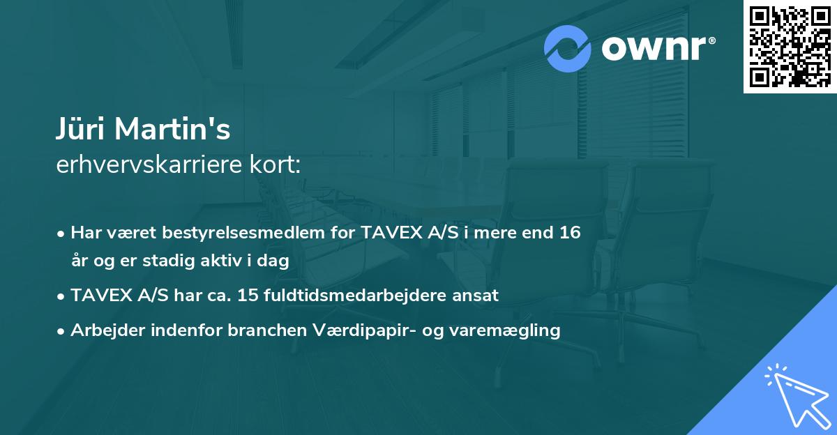 Jüri Martin's erhvervskarriere kort