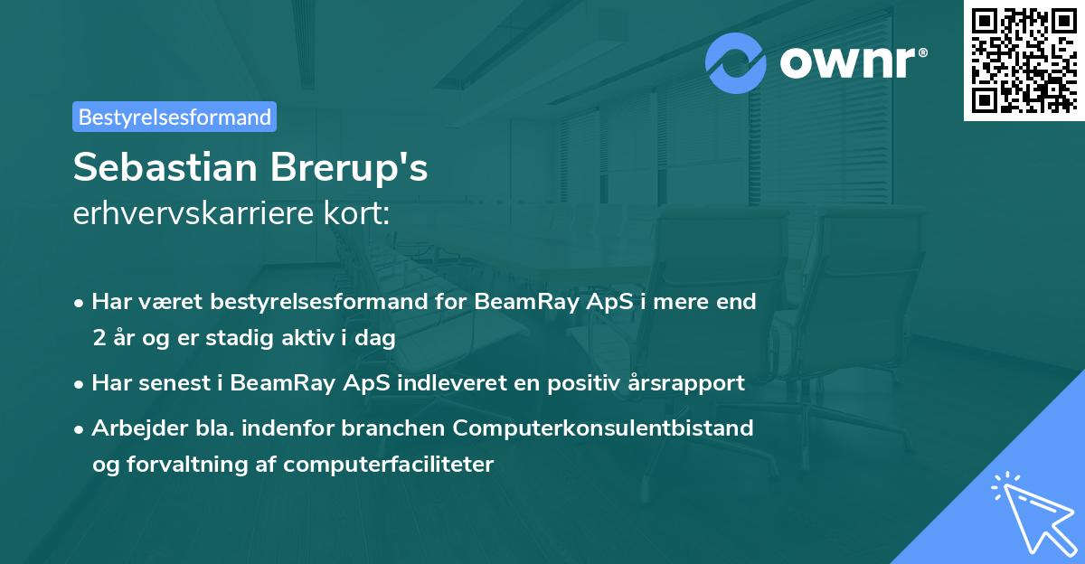 Sebastian Brerup's erhvervskarriere kort