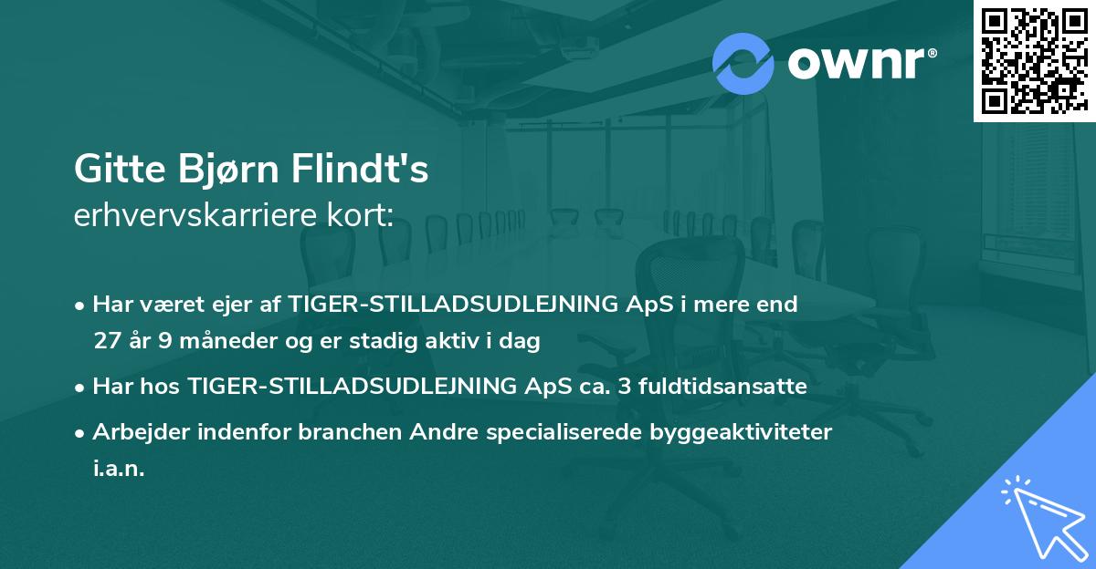 Gitte Bjørn Flindt's erhvervskarriere kort