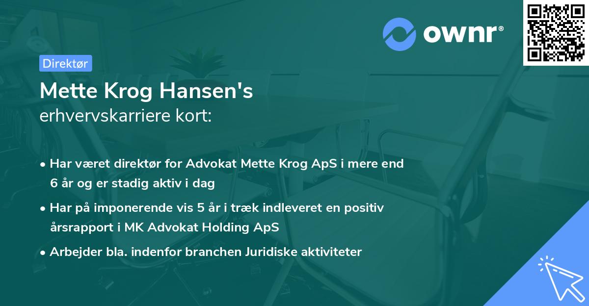Mette Krog Hansen's erhvervskarriere kort