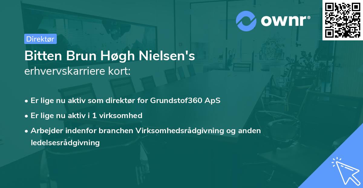 Bitten Brun Høgh Nielsen's erhvervskarriere kort