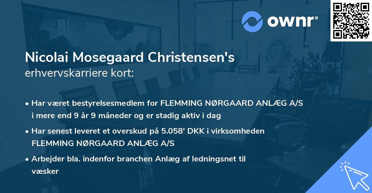 Nicolai Mosegaard Christensen's erhvervskarriere kort