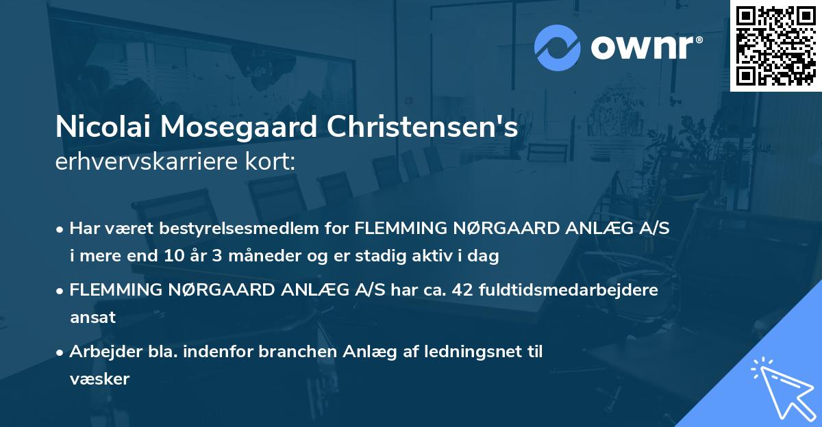 Nicolai Mosegaard Christensen's erhvervskarriere kort