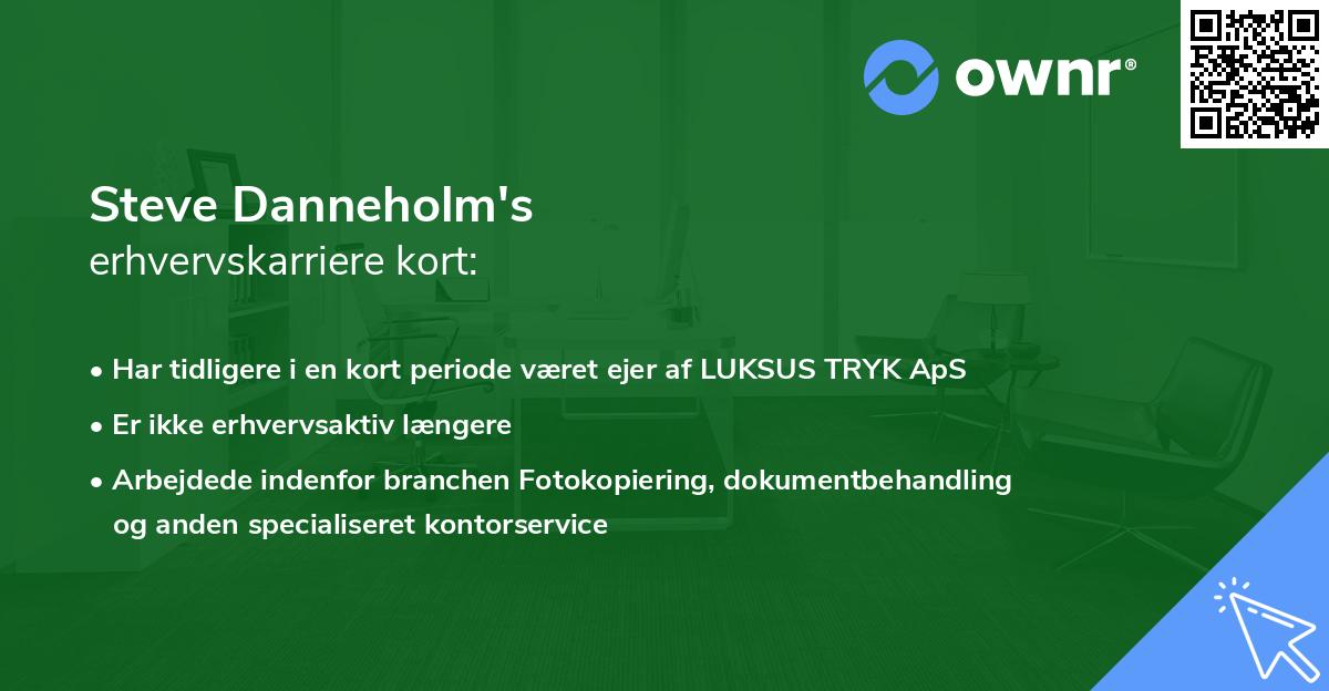 Steve Danneholm's erhvervskarriere kort