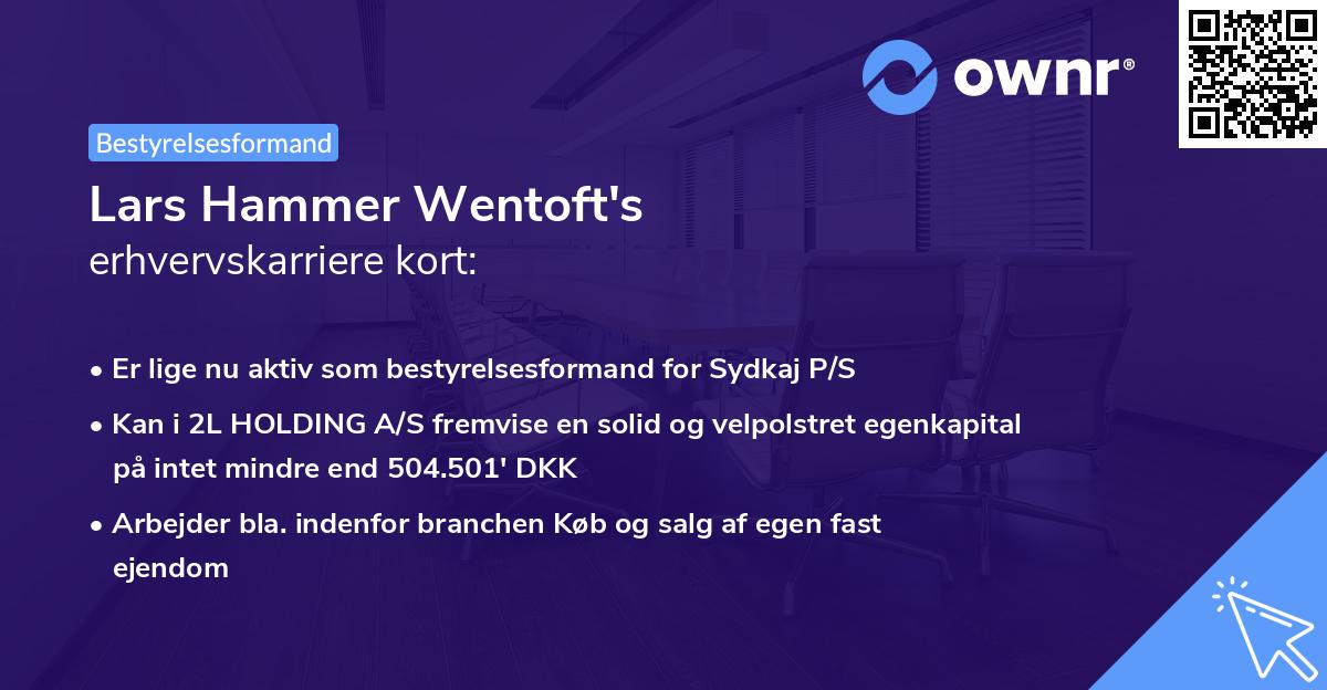 Lars Hammer Wentoft's erhvervskarriere kort