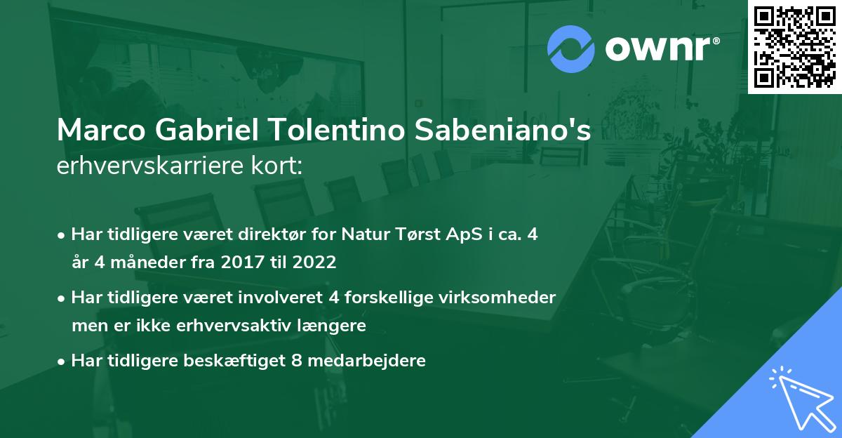 Marco Gabriel Tolentino Sabeniano's erhvervskarriere kort