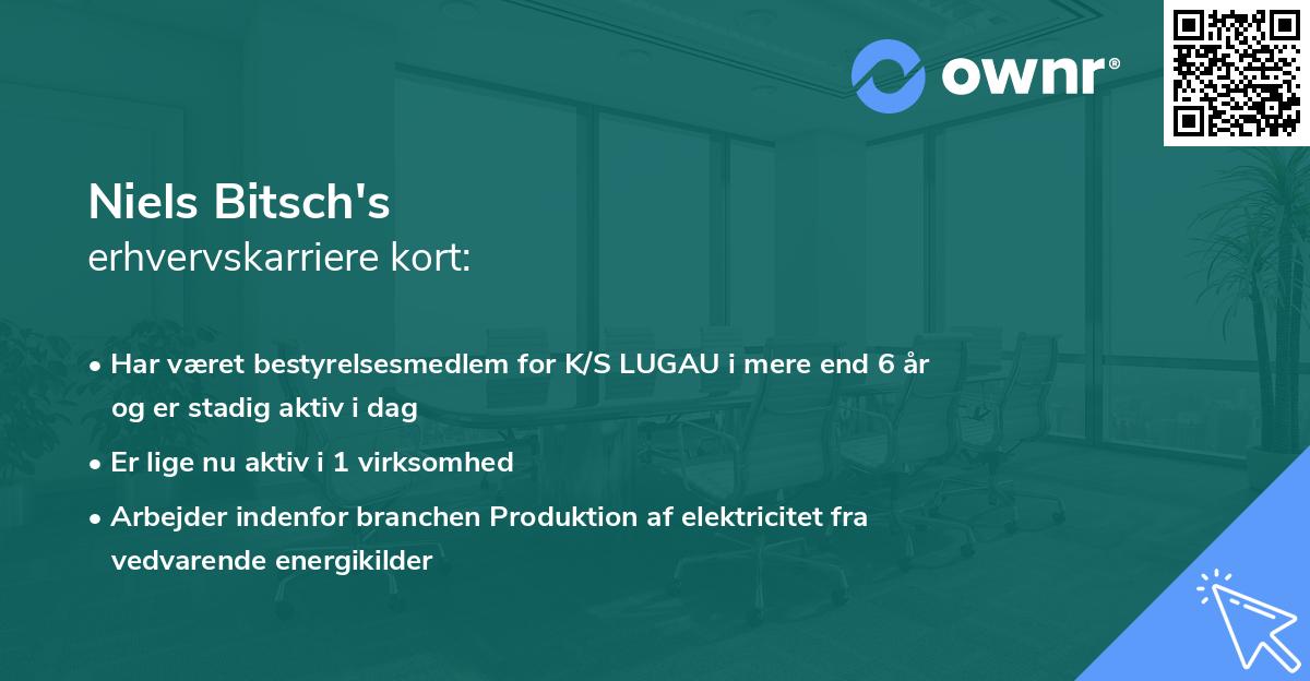 Niels Bitsch's erhvervskarriere kort