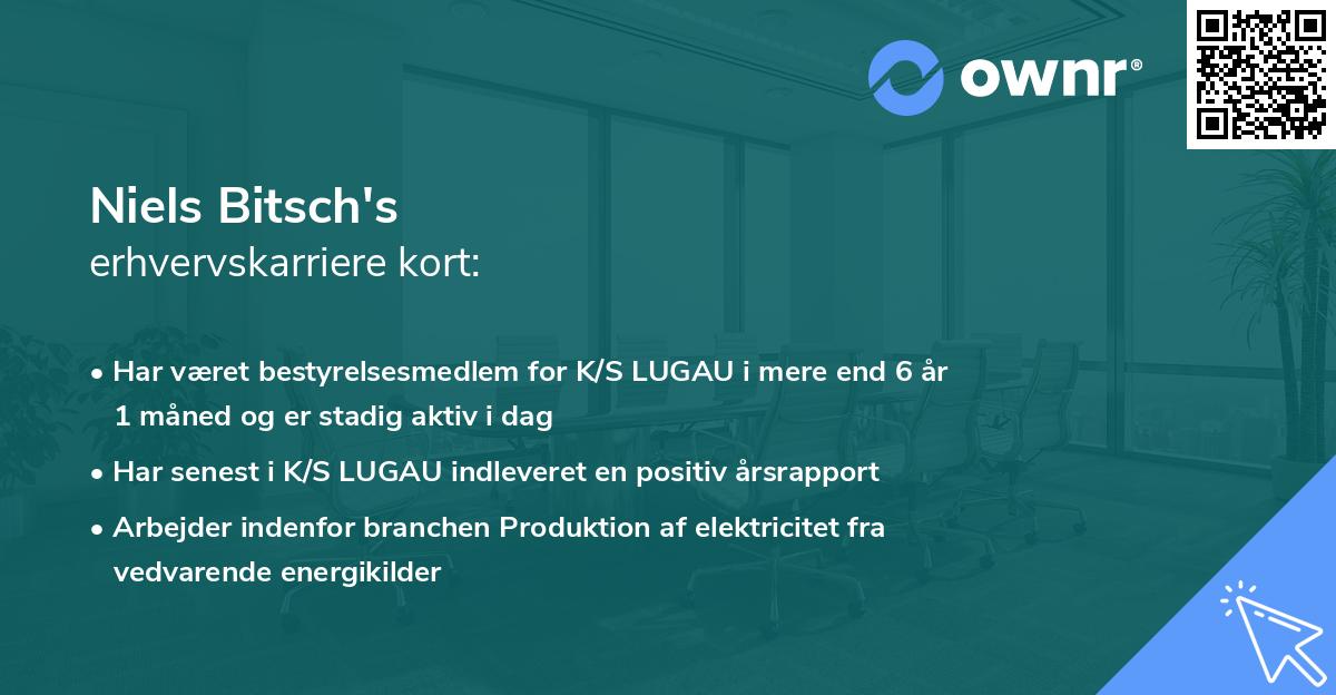Niels Bitsch's erhvervskarriere kort