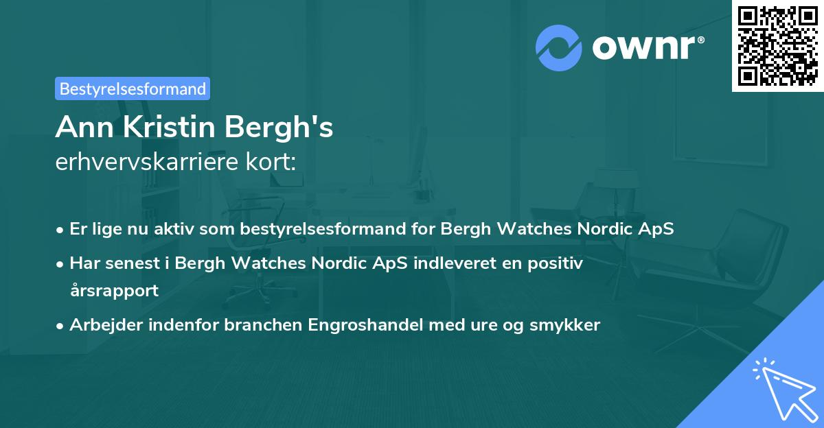 Ann Kristin Bergh's erhvervskarriere kort